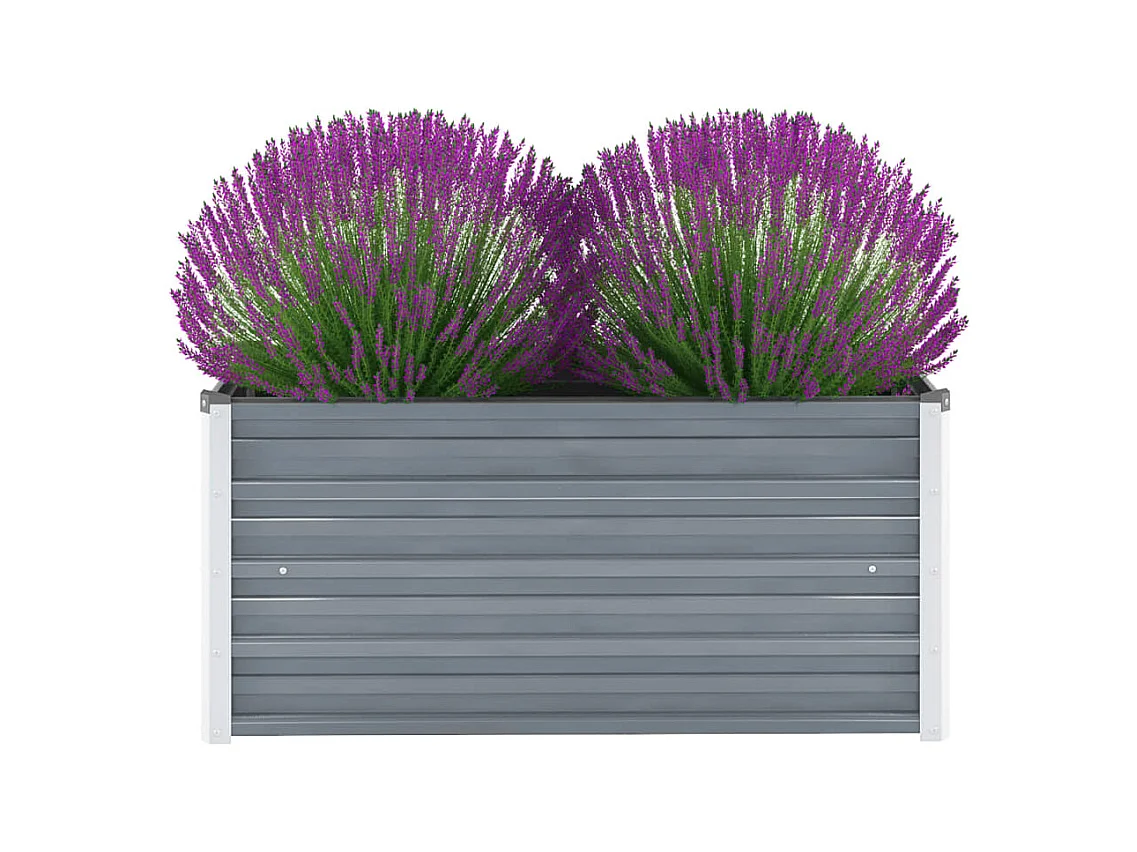 Lit surélevé de jardin Acier galvanisé 100x40x45 cm Gris