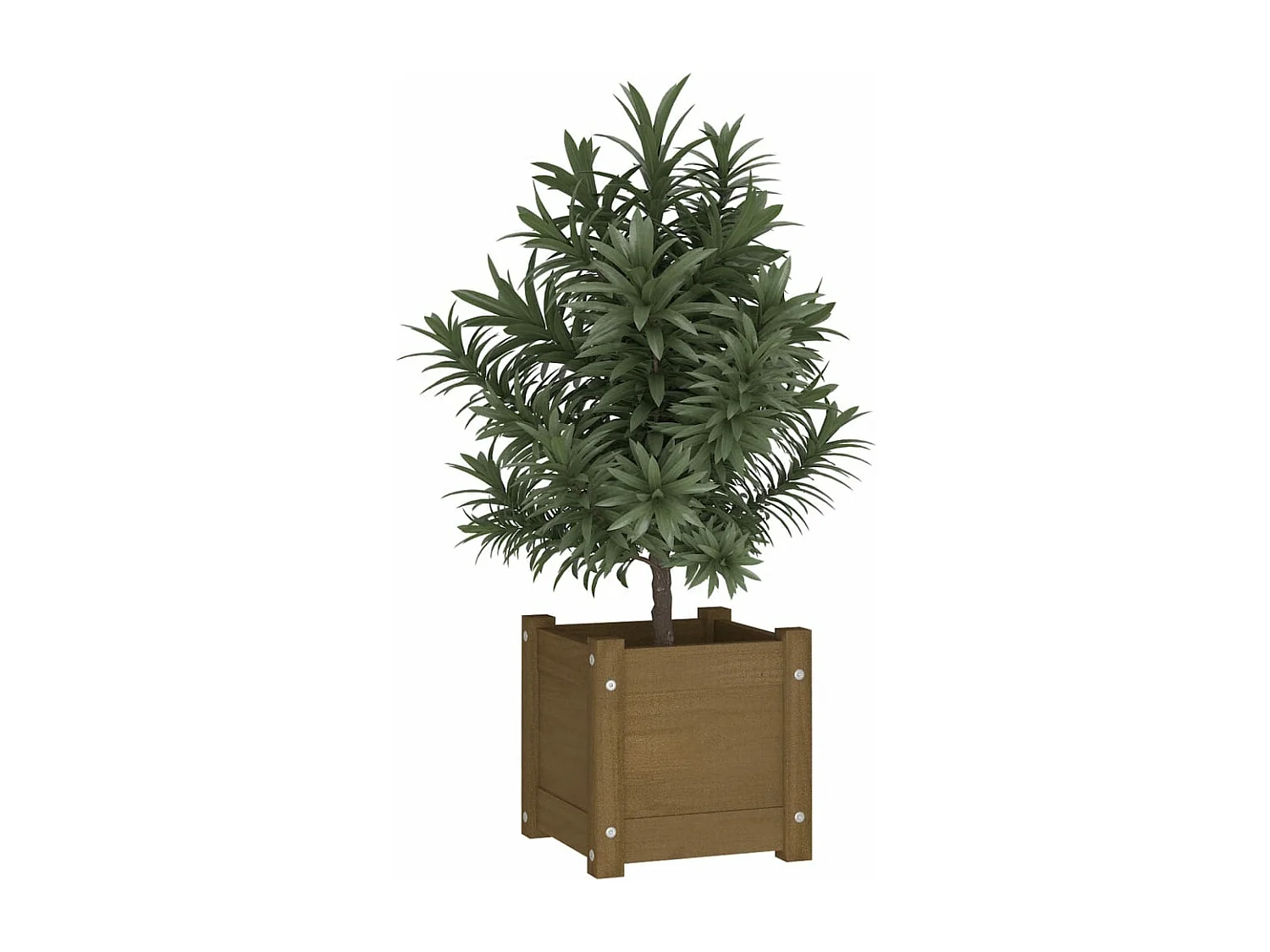 Jardinière extérieur Marron miel 31x31x31 cm Bois de pin massif