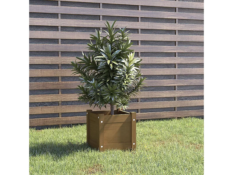 Jardinière extérieur Marron miel 31x31x31 cm Bois de pin massif