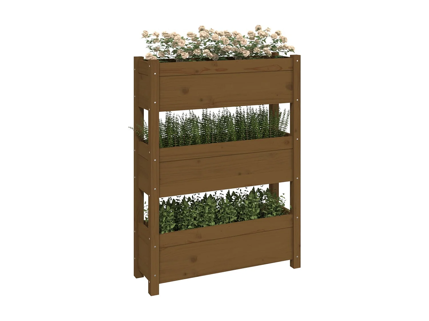 Jardinière Marron miel 77x25x104,5 cm Bois massif de pin