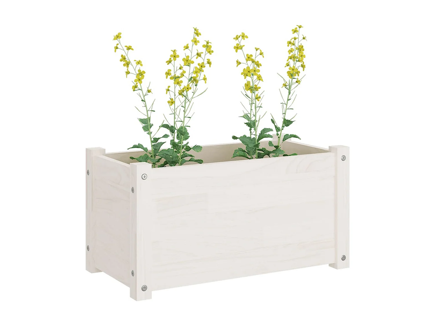 Vasos/floreiras jardim 2 peças 60x31x31 cm pinho maciço branco