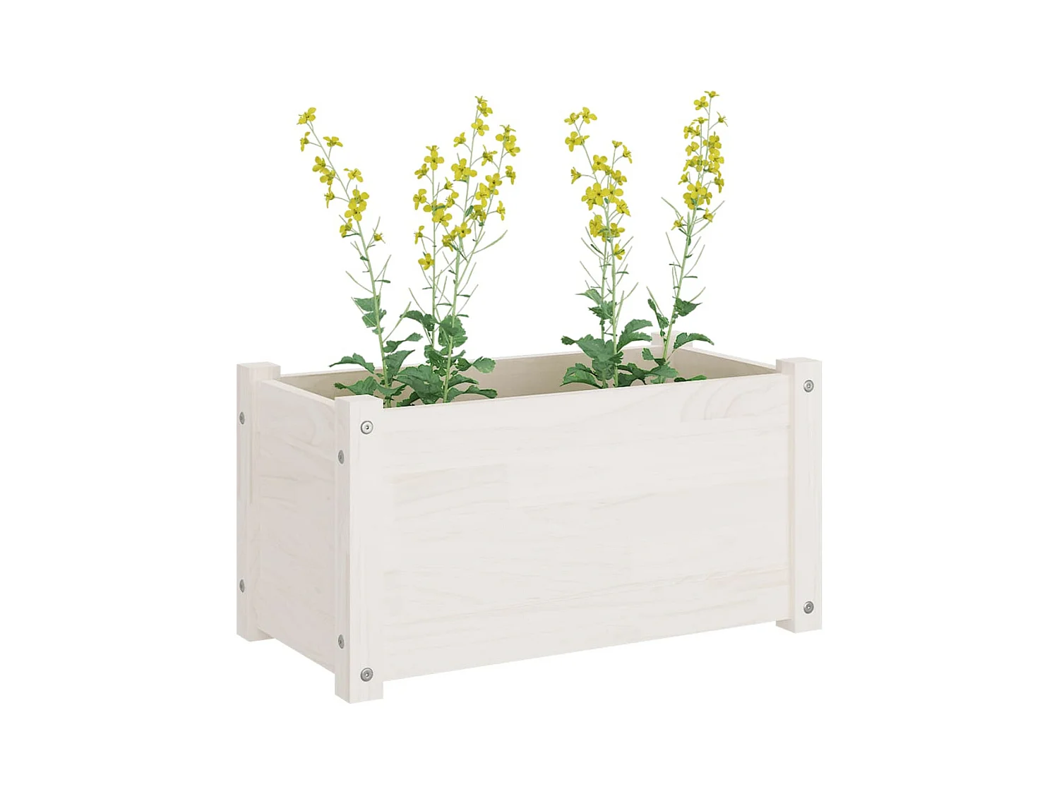 Jardinières d'extérieur 2 pièces Blanc 60x31x31 cm Bois de pin