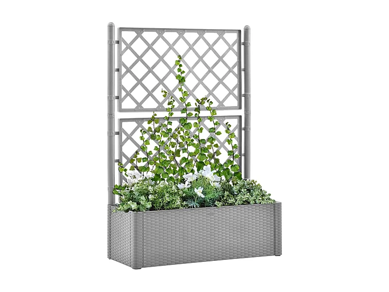 Lit surélevé de jardin et treillis et système d'arrosage Gris