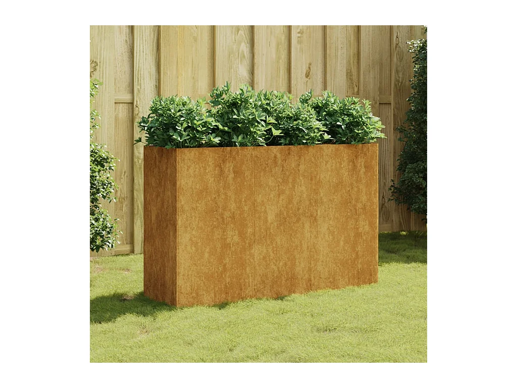 Lit surélevé de jardin 120x40x80 cm acier corten