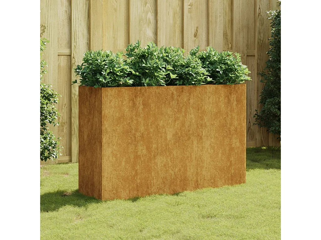 Lit surélevé de jardin 120x40x80 cm acier corten