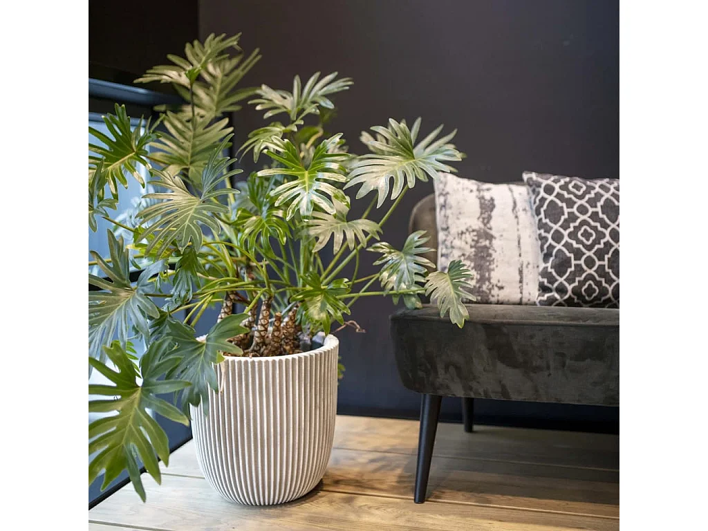 Jardinière Groove 43x41 cm ivoire