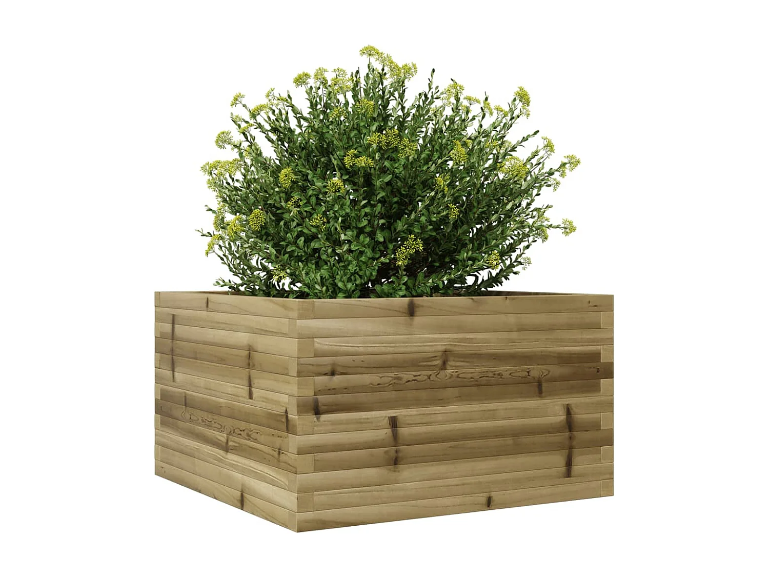 Jardinière 80x80x46 cm bois de pin imprégné