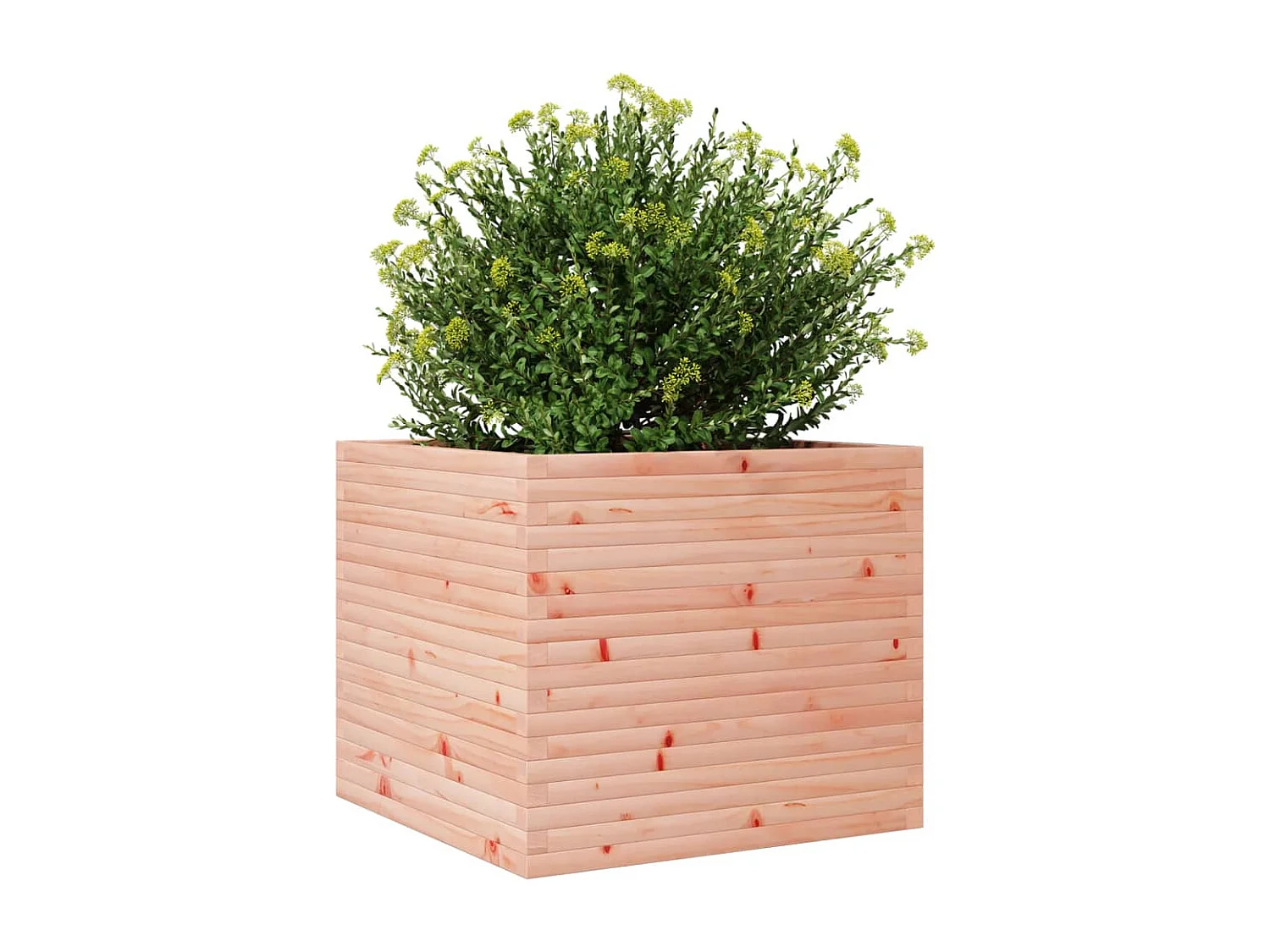 Vaso/floreira de jardim 80x80x68,5 cm madeira de douglas maciça