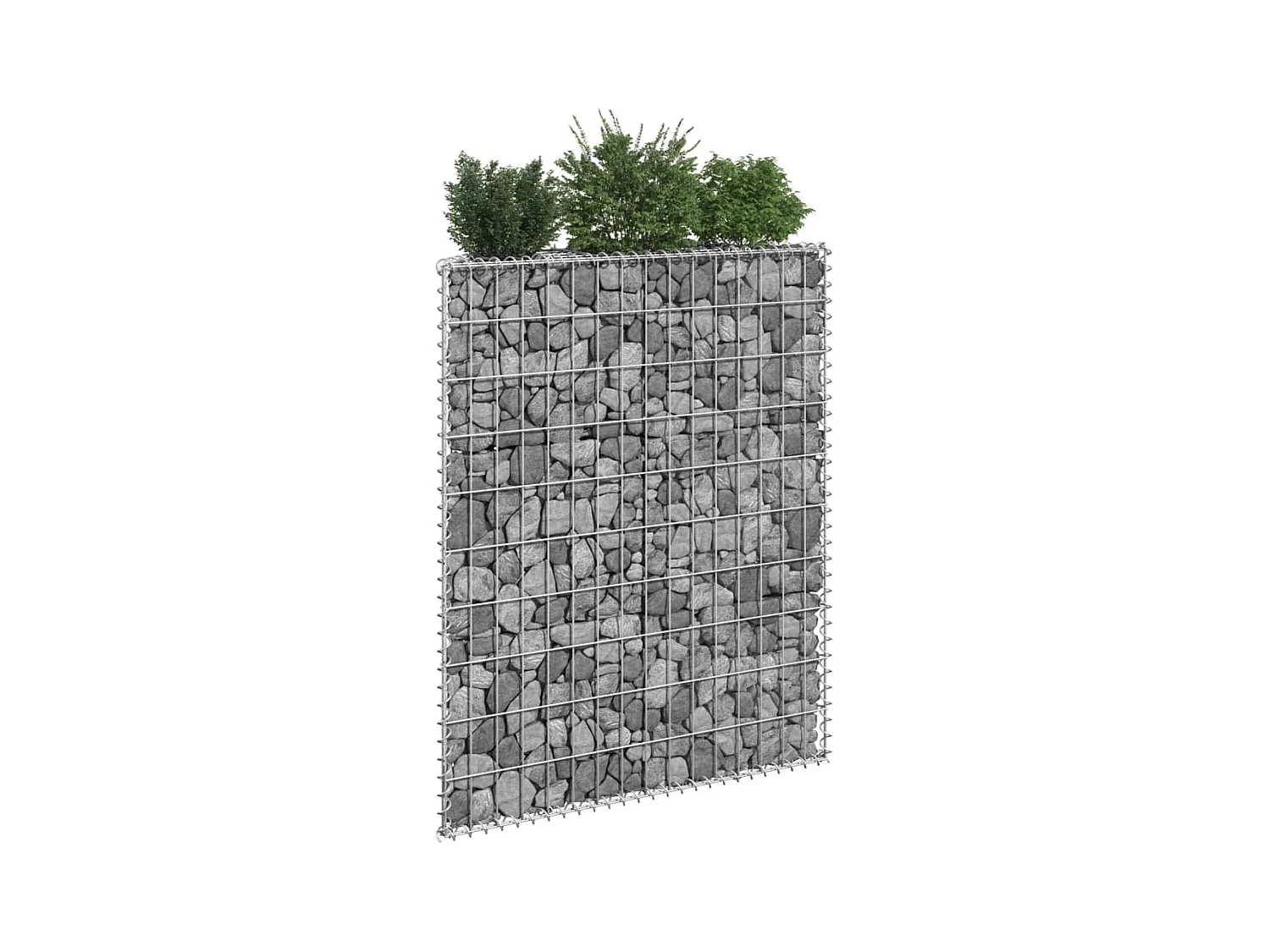 Lit surélevé à gabion en trapèze Acier galvanisé 80x20x100 cm