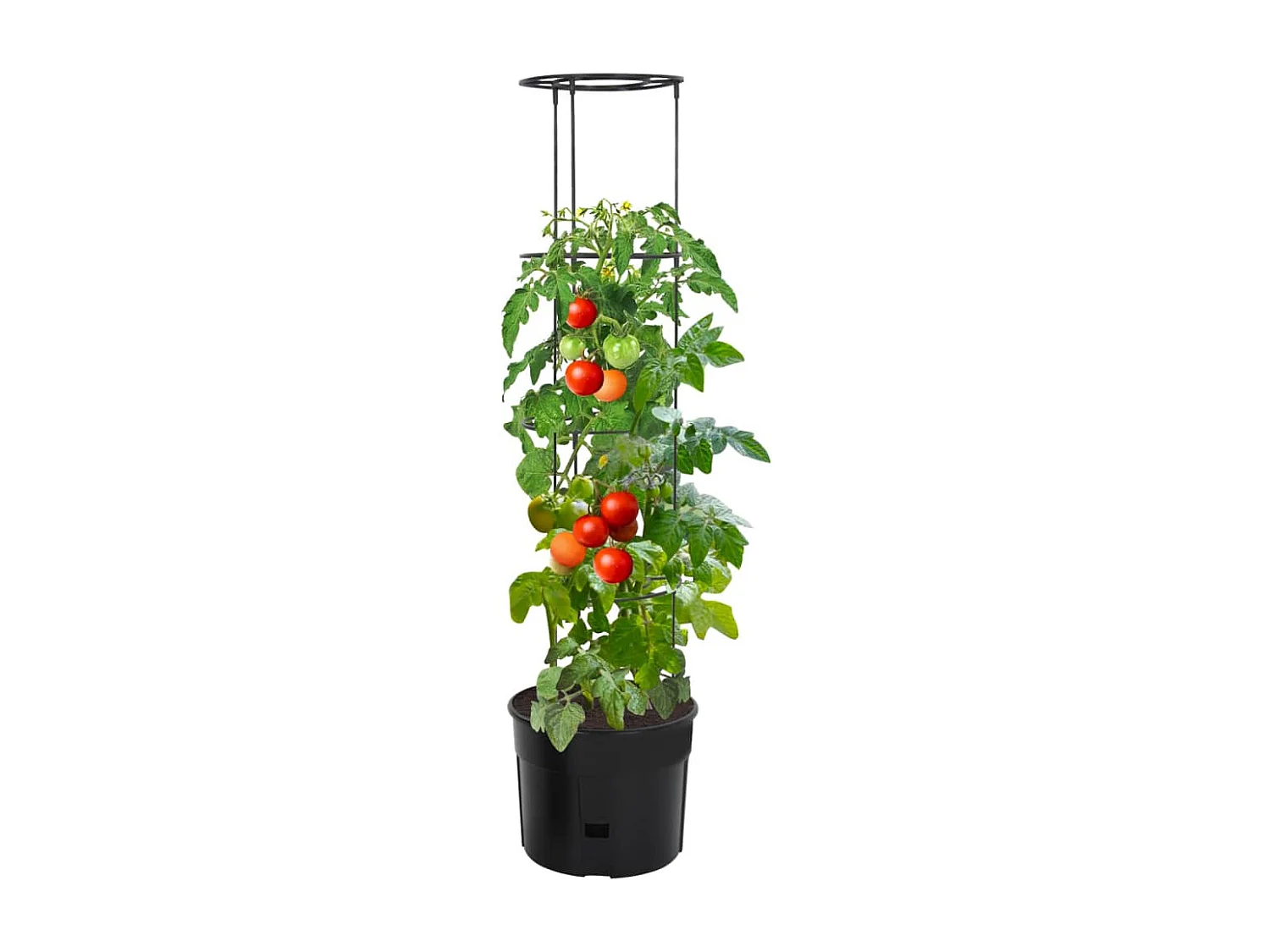 Macetero para tomates polipropileno gris antracita Ø39x150 cm
