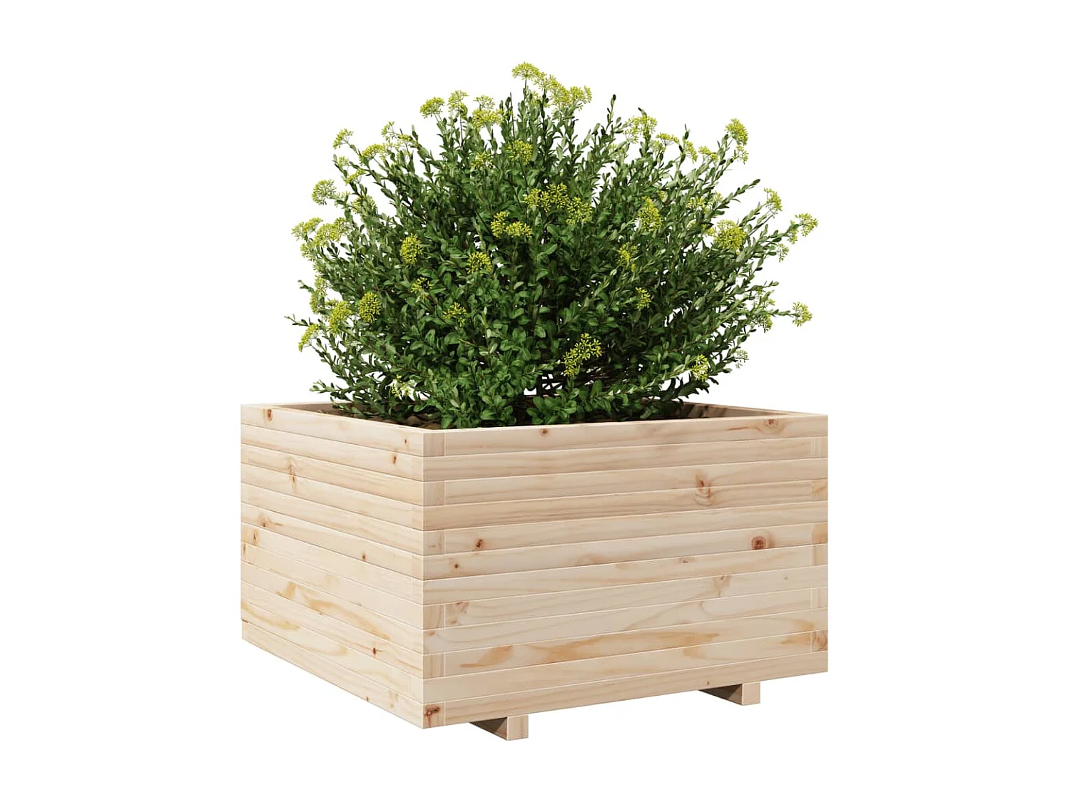 Vaso/floreira de jardim 80x80x49,5 cm madeira de pinho maciça