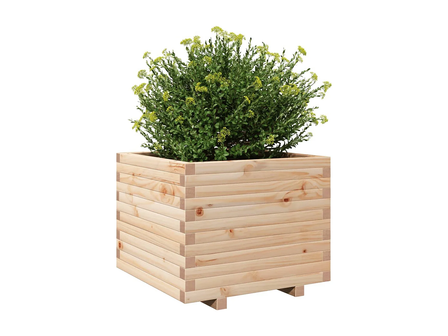 Vaso/floreira de jardim 60x60x49,5 cm madeira de pinho maciça