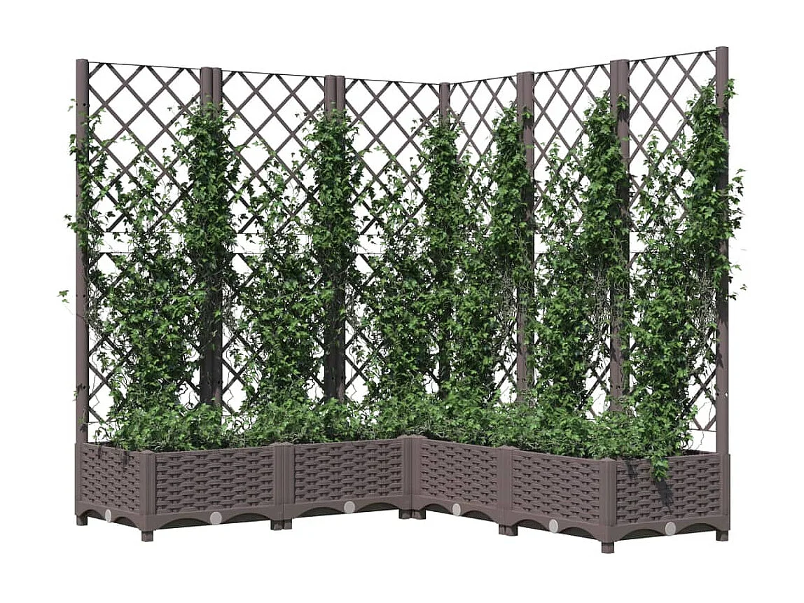 Jardinière avec treillis Marron 120x120x121,5 cm PP