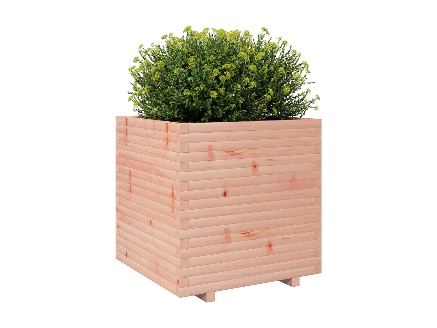 Vaso/floreira de jardim 70x70x72,5 cm madeira de douglas maciça