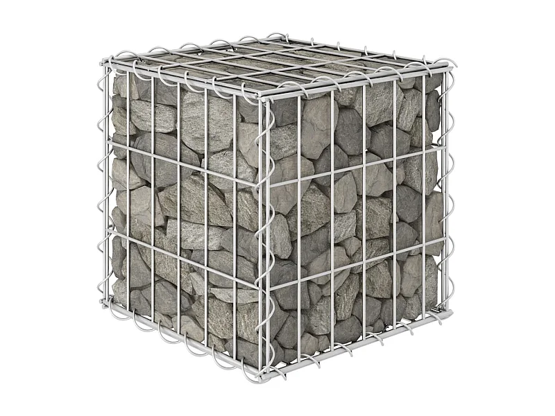 Lit surélevé cube à gabion Fil d'acier 30x30x30 cm