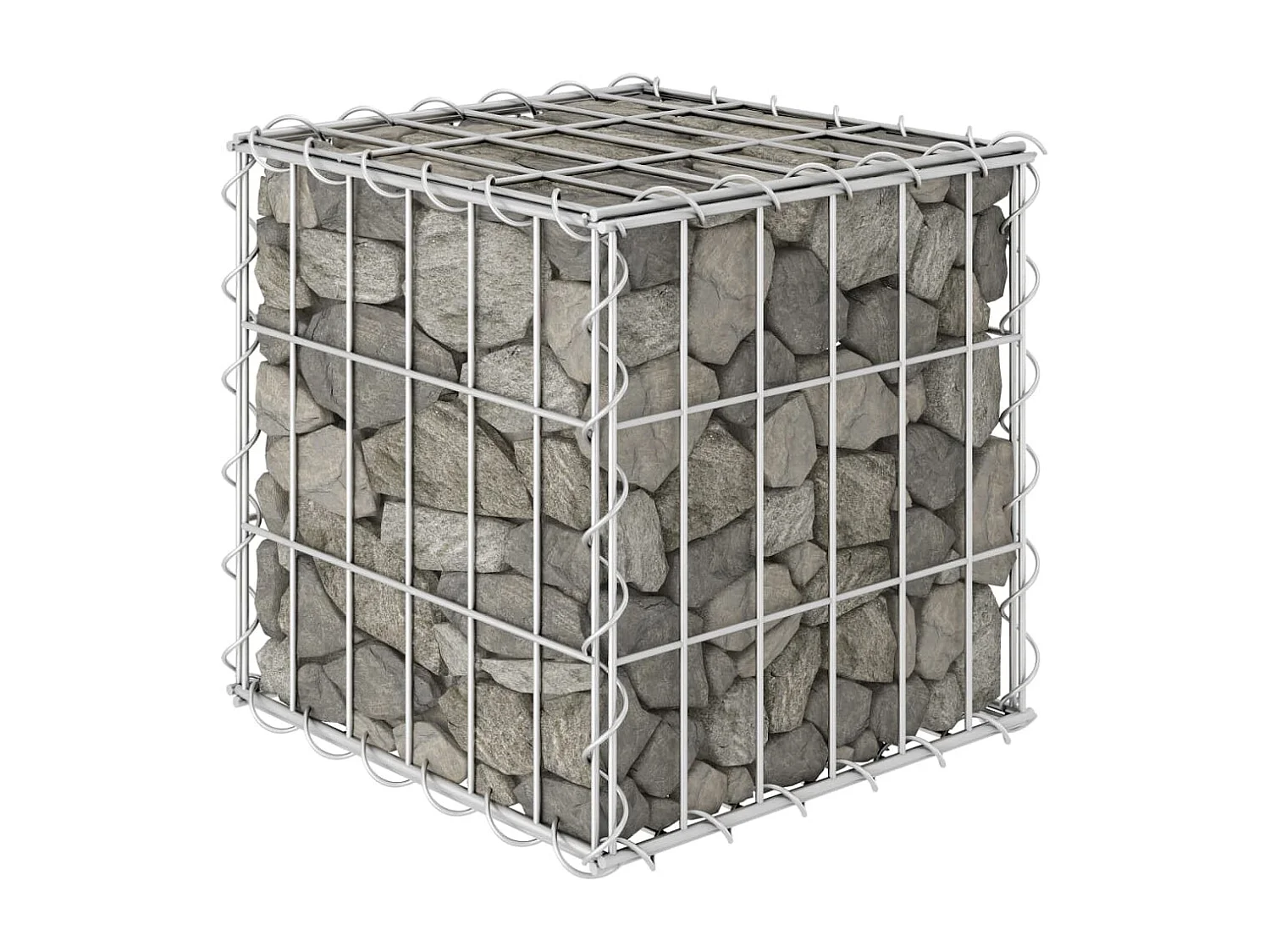 Lit surélevé cube à gabion Fil d'acier 30x30x30 cm