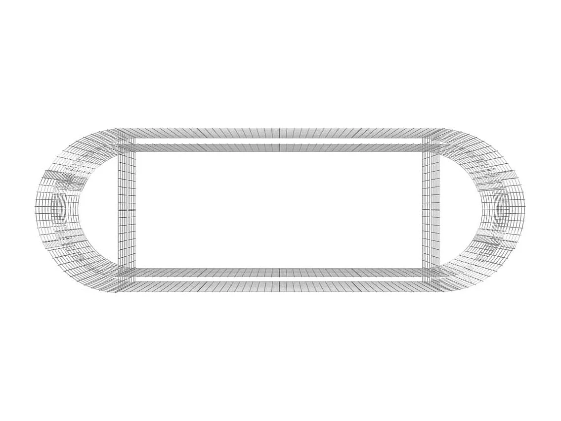 Lit surélevé à gabion Fer galvanisé 300x100x100 cm