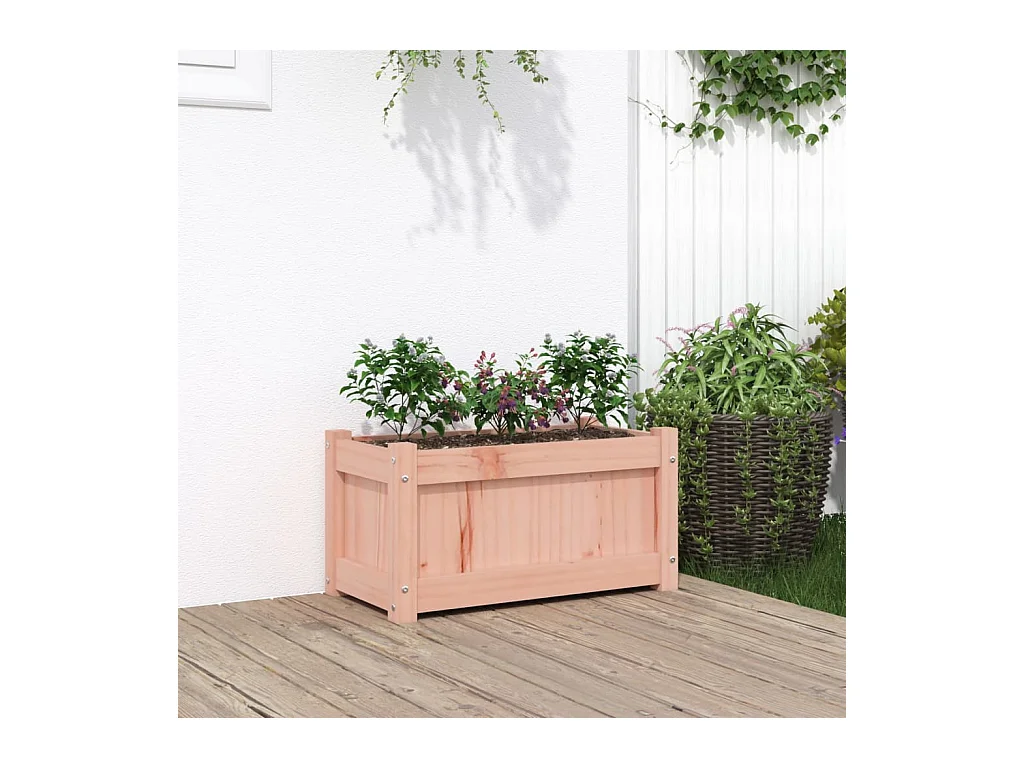 Jardinière 60x31x31 cm bois massif douglas