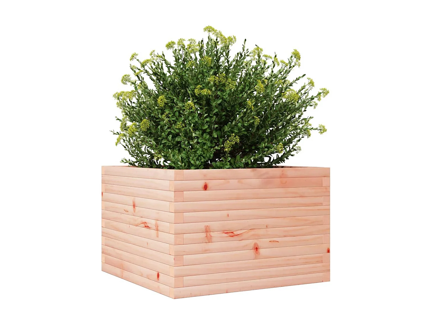 Vaso/floreira de jardim 70x70x46 cm madeira de douglas maciça