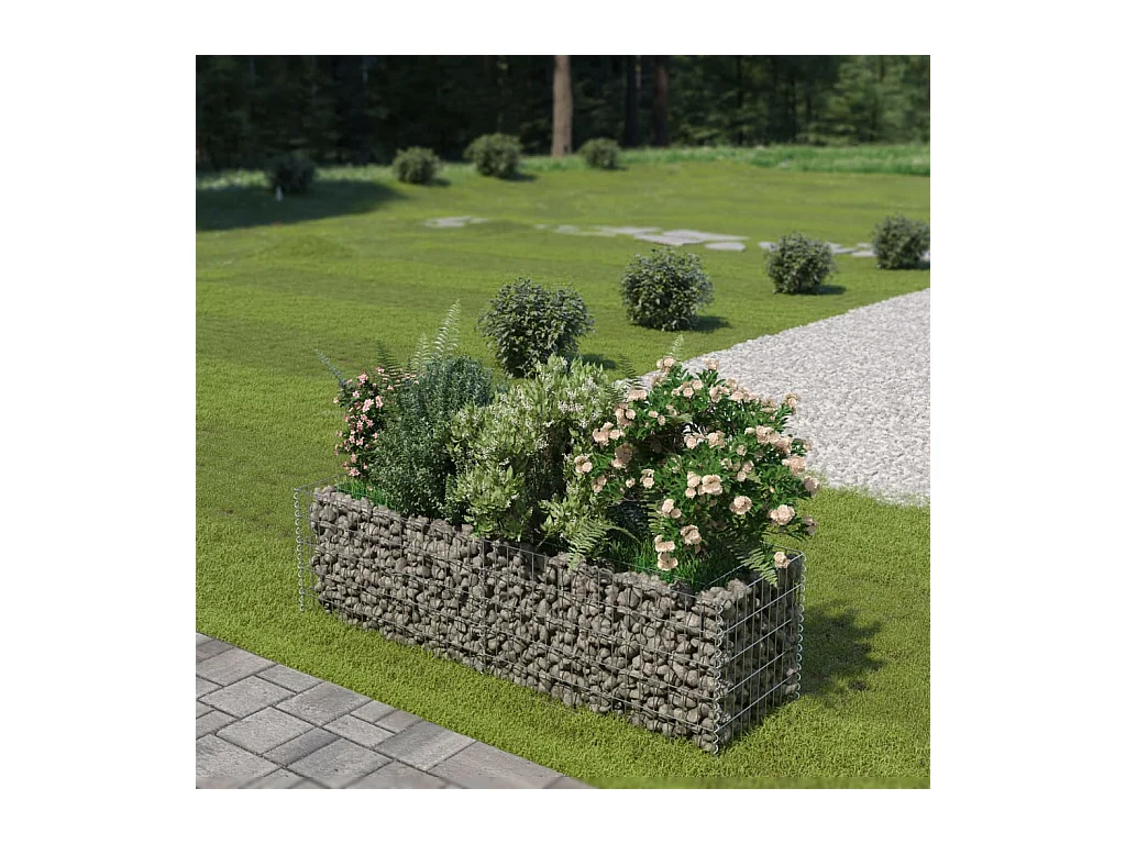 Lit surélevé à gabion Acier galvanisé 180x50x50 cm