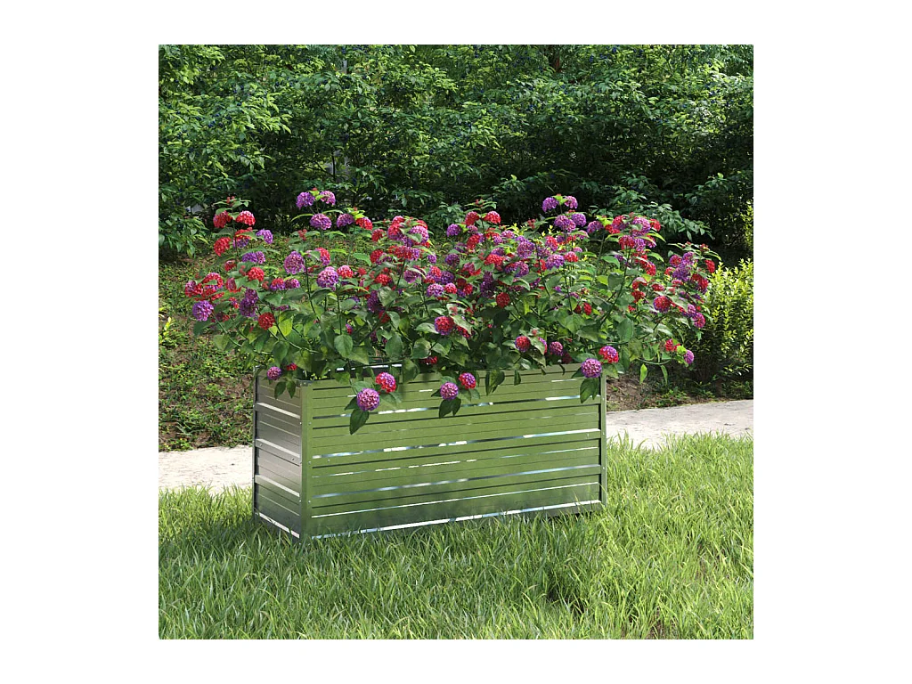 Lit surélevé de jardin 100x40x45 cm Acier galvanisé Argenté