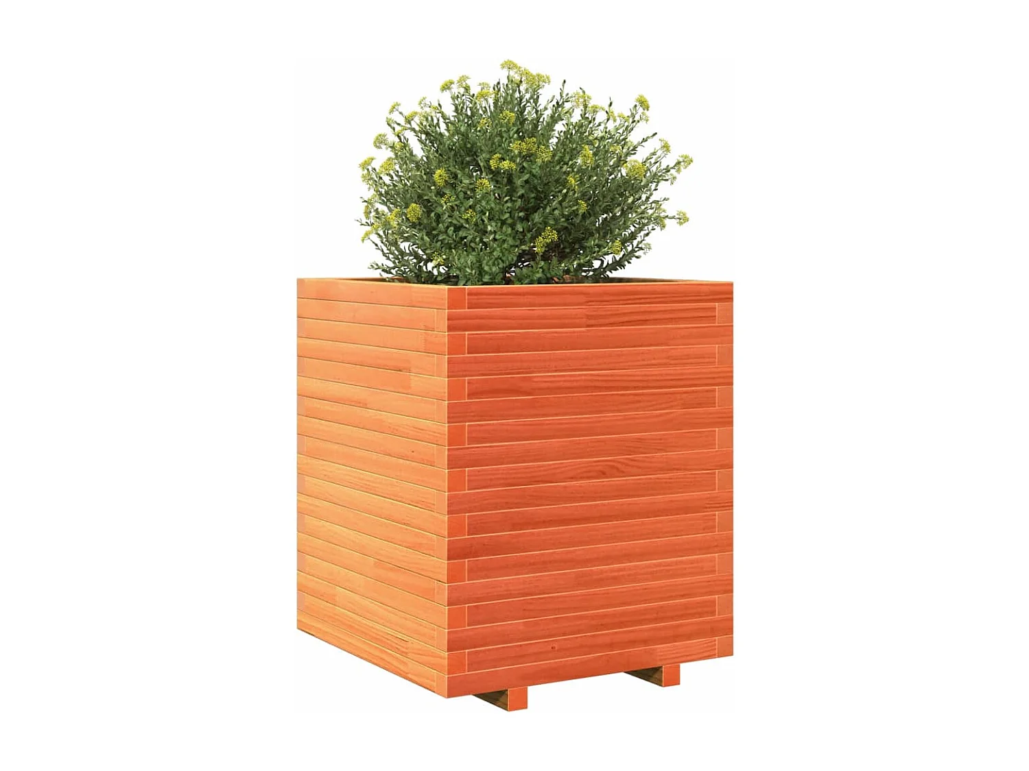 Jardinière cire marron 60x60x72 cm bois de pin massif