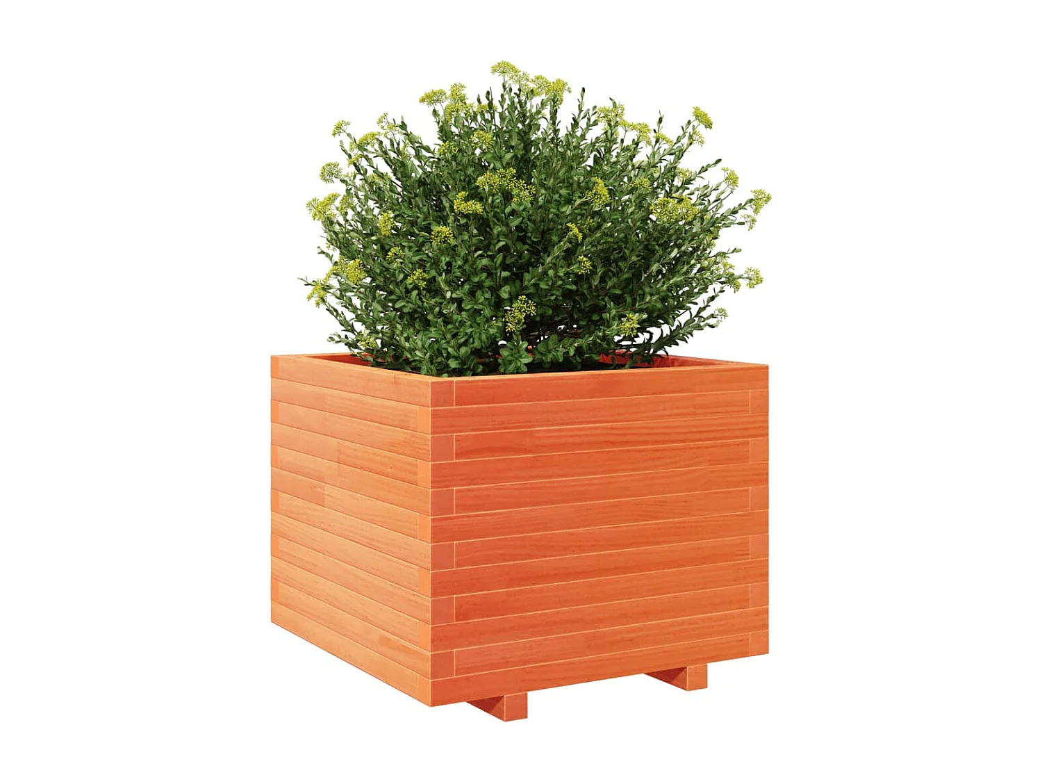 Jardinière cire marron 60x60x49,5 cm bois de pin massif