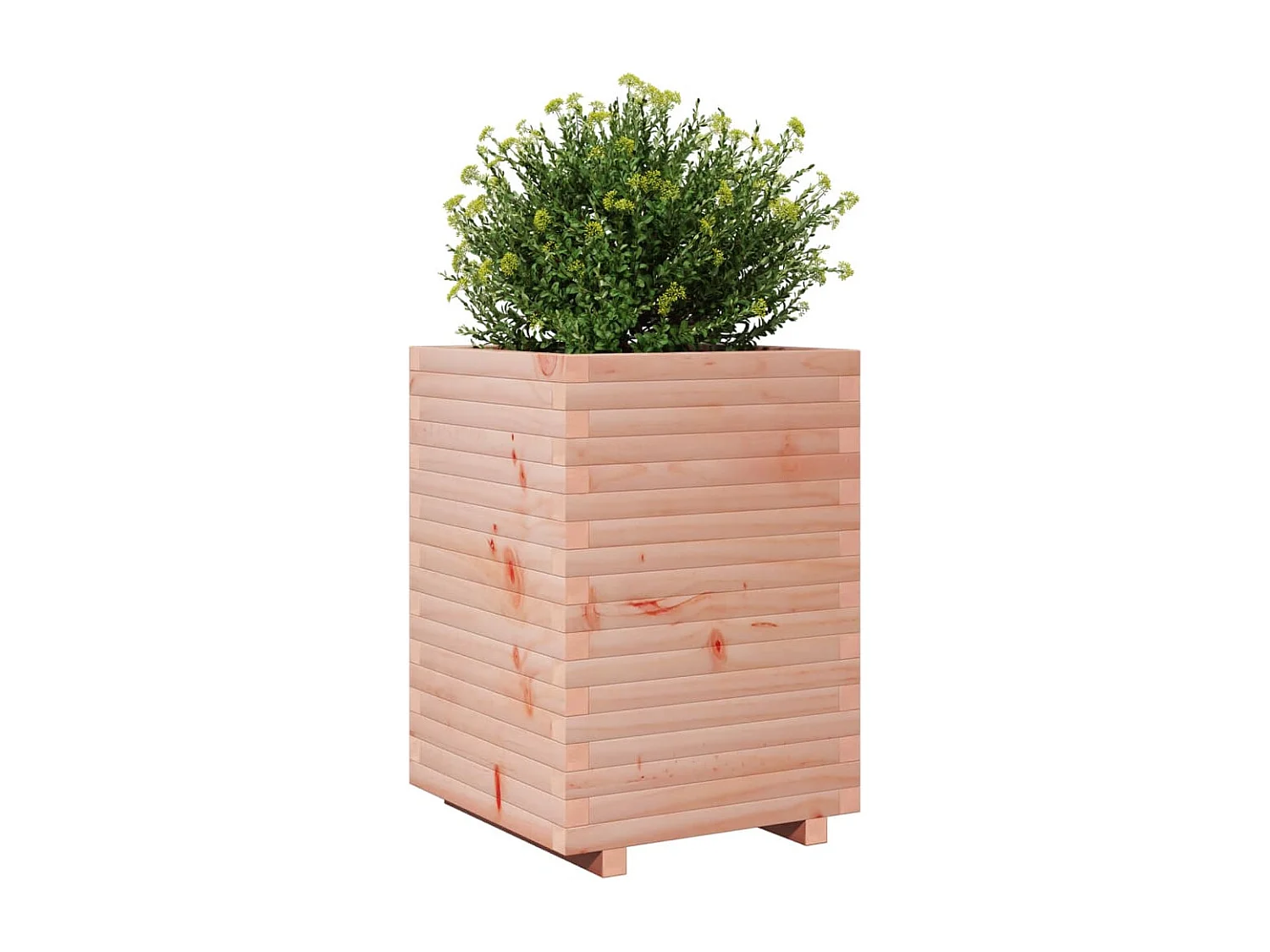 Vaso/floreira de jardim 50x50x72 cm madeira de douglas maciça