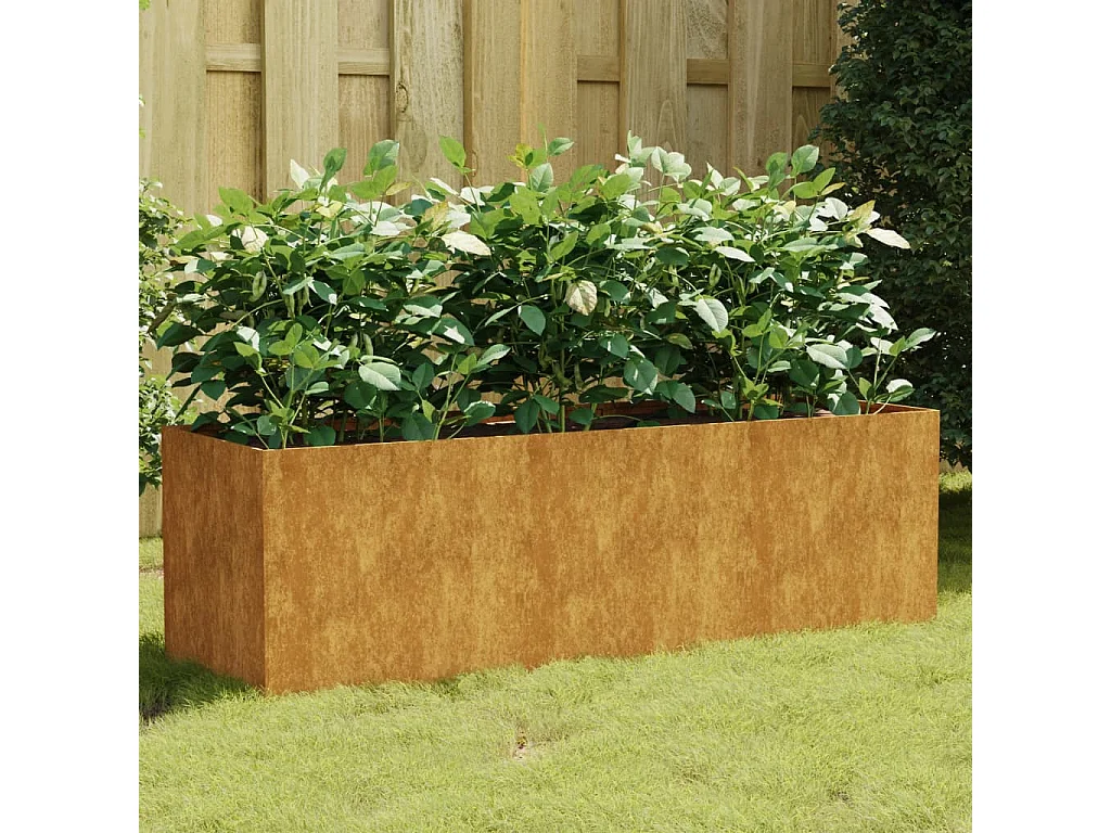 Lit surélevé de jardin 120x40x40 cm acier corten