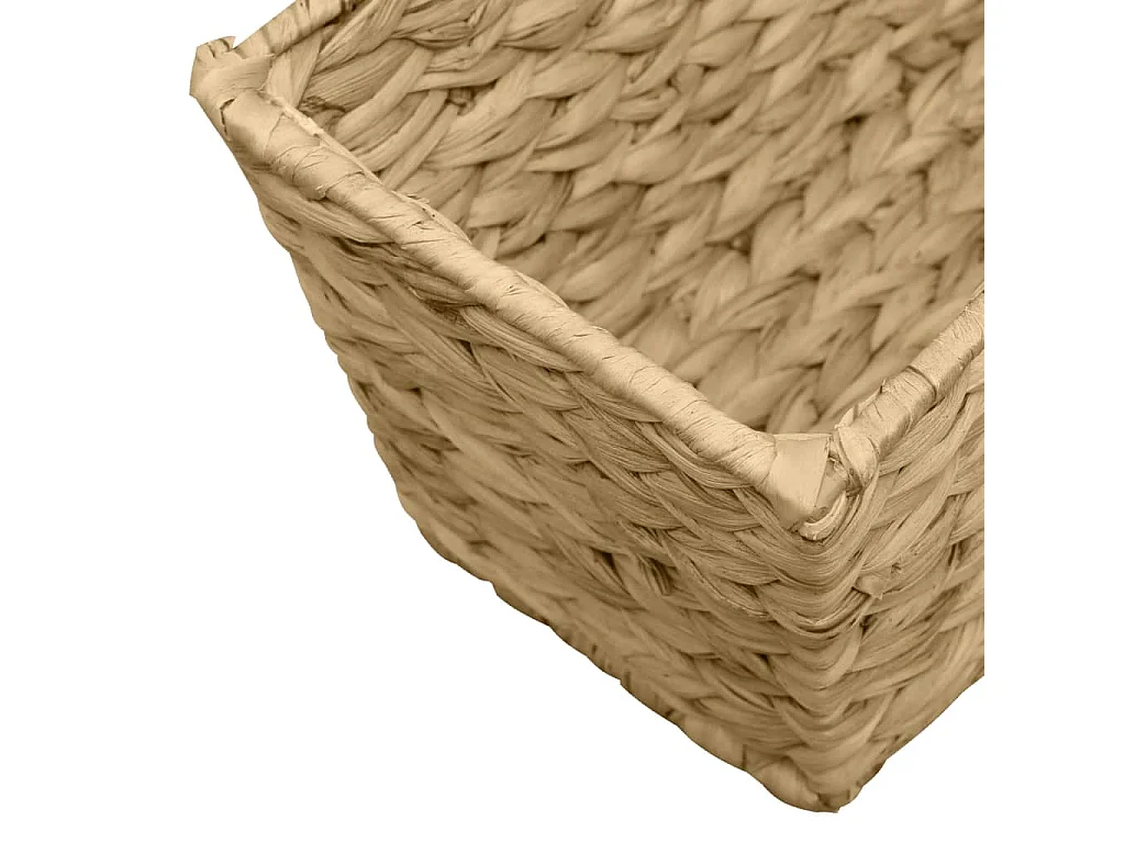 Jardinières 2 pièces Jacinthe d'eau