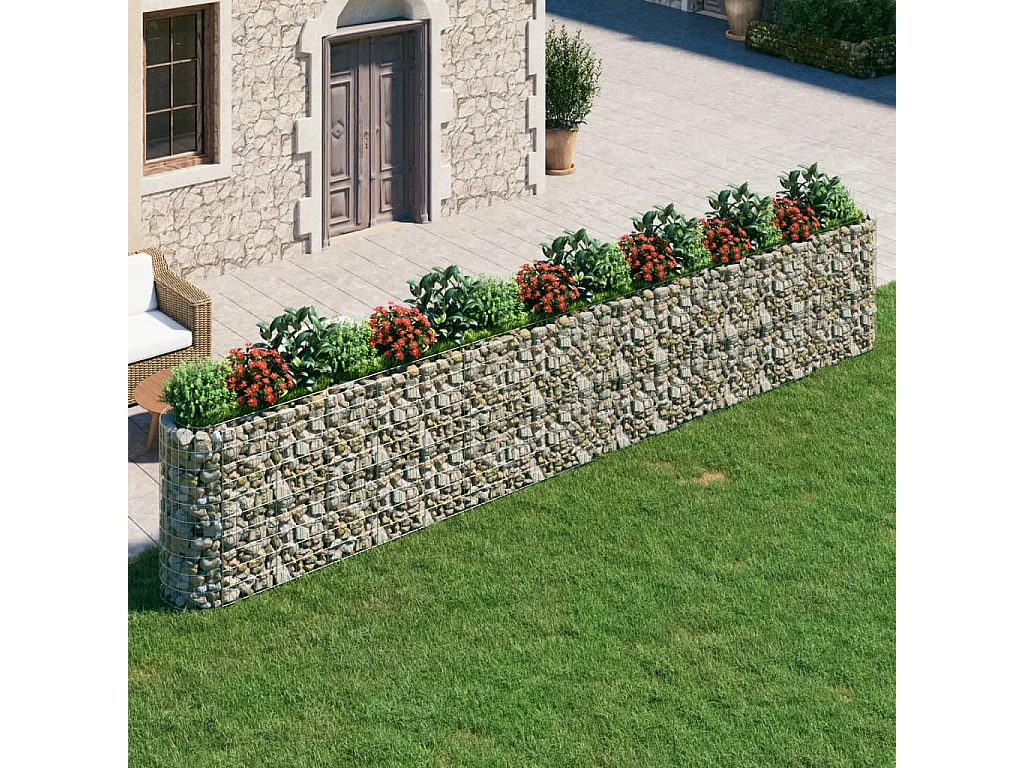 Lit surélevé à gabion Fer galvanisé 610x50x100 cm