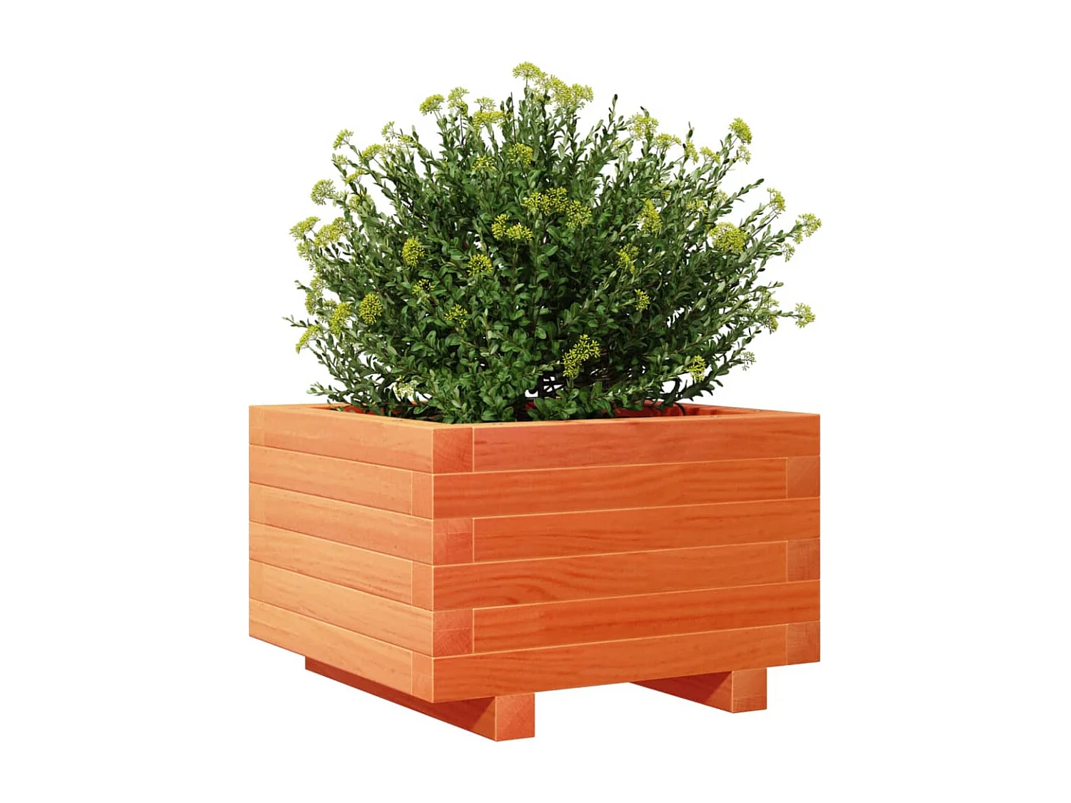 Jardinière cire marron 40x40x26,5 cm bois de pin massif