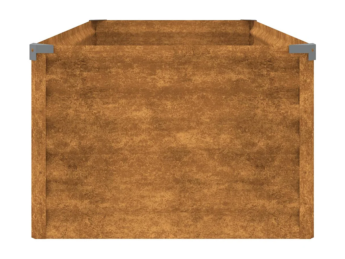 Lit surélevé de jardin 100x50x36 cm acier corten