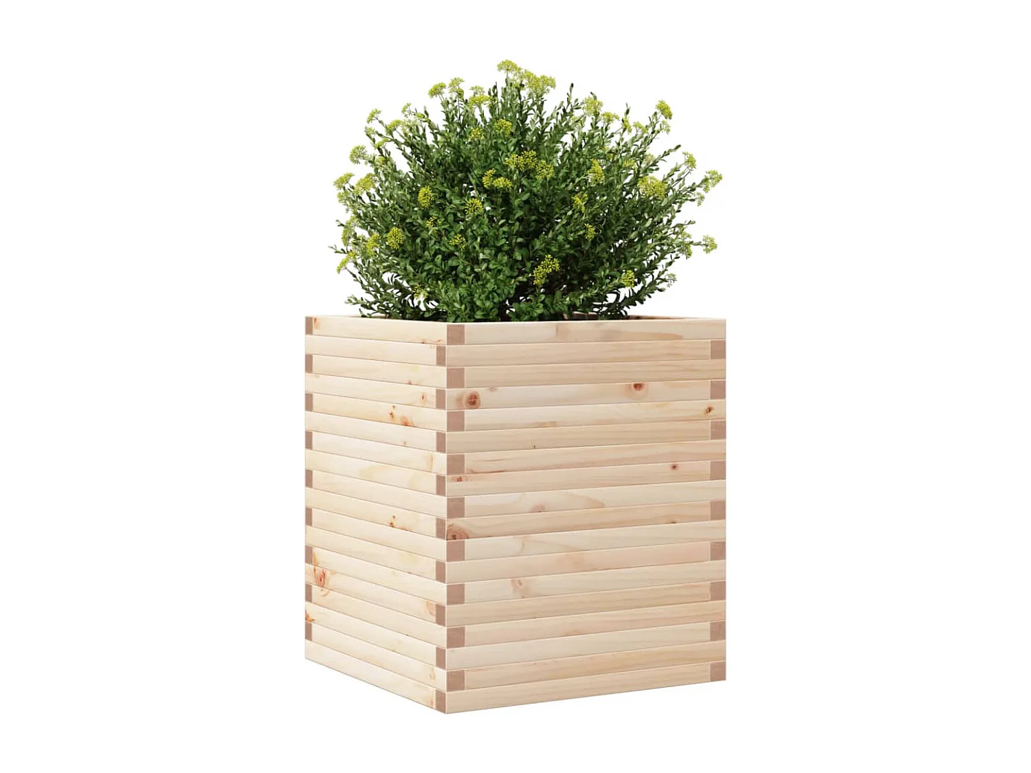 Jardinière 60x60x68,5 cm bois de pin massif