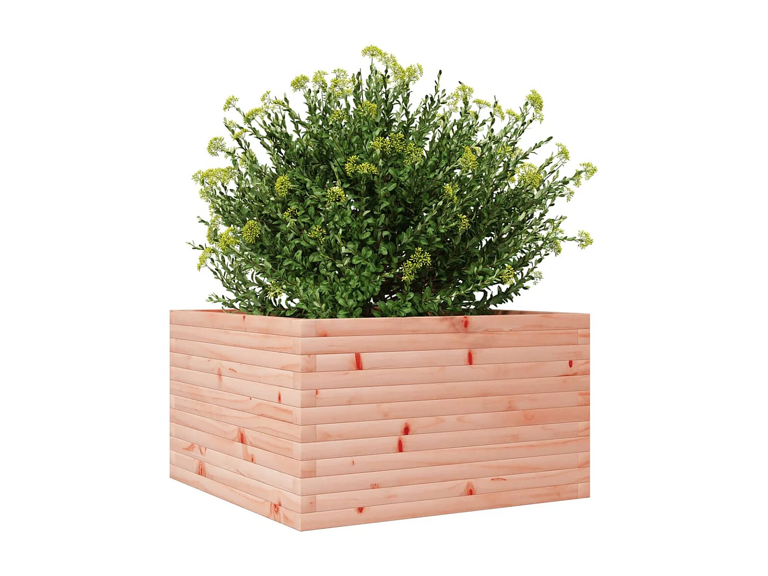 Jardinera madera maciza de abeto Douglas 80x80x45,5 cm