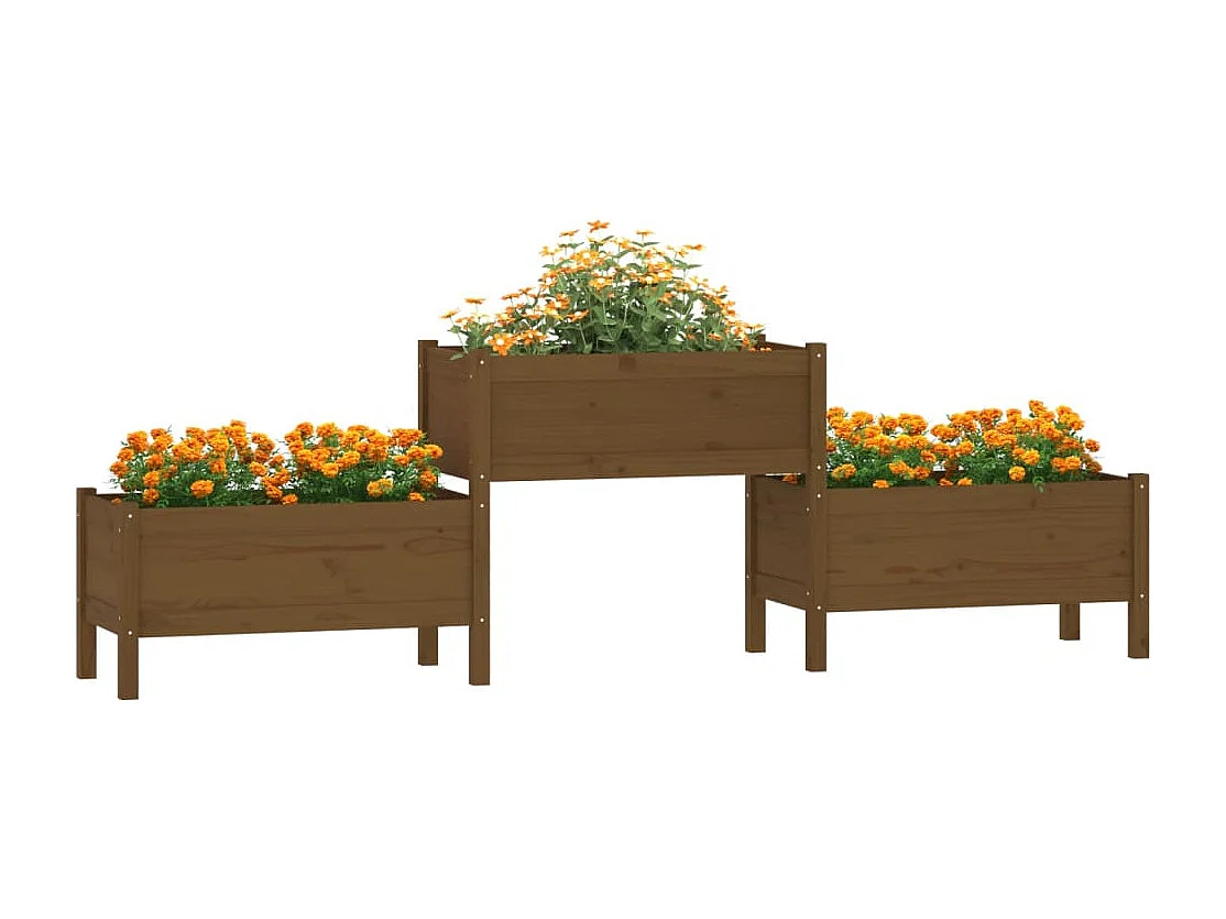 Jardinière Marron miel 245,5x44x75 cm Bois massif de pin