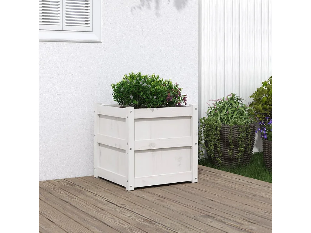 Jardinière blanc 50x50x50 cm bois de pin massif