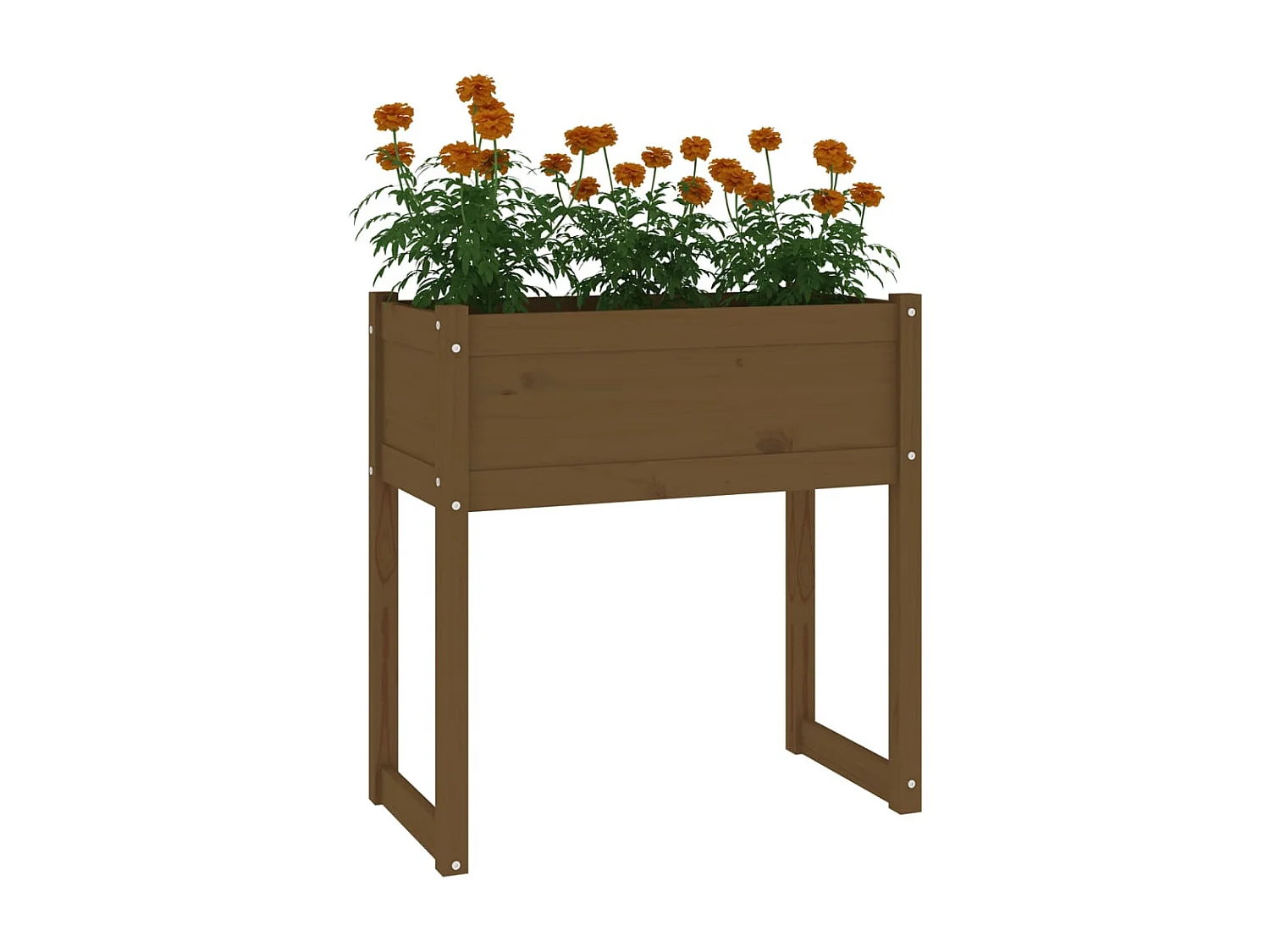 Jardinière Marron miel 78x40x81 cm Bois massif de pin