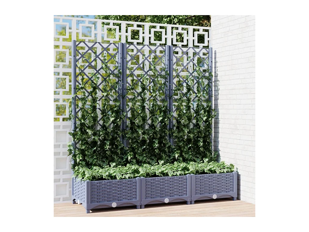 Jardinière avec treillis Gris foncé 120x40x121,5 cm PP