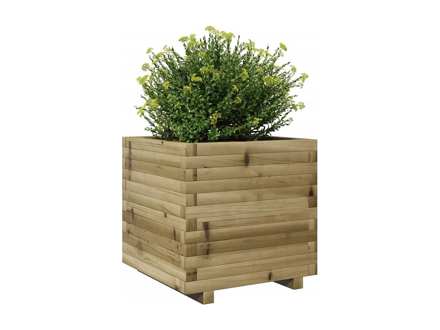 Jardinière 50x50x49,5 cm bois de pin imprégné