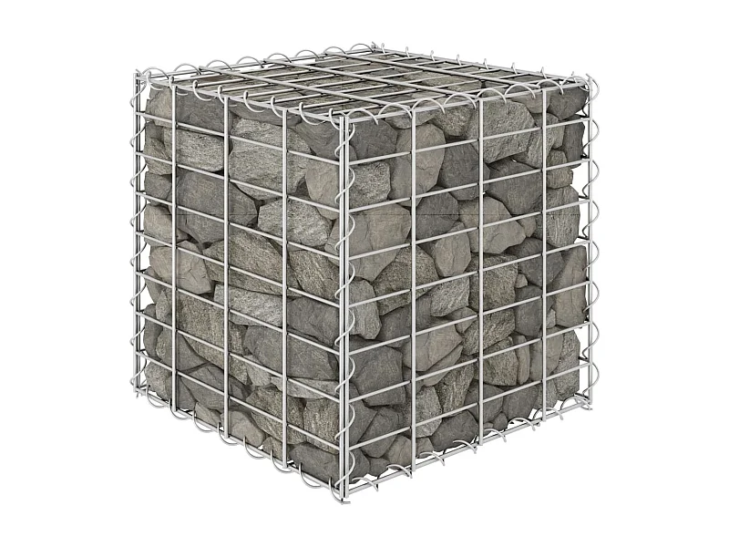 Lit surélevé cube à gabion Fil d'acier 40x40x40 cm