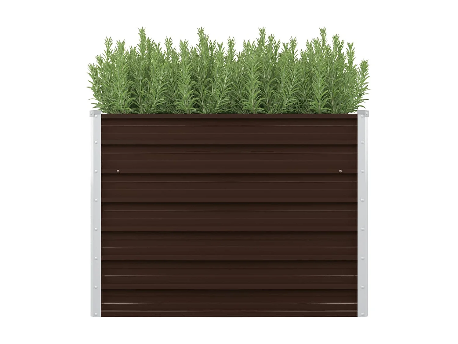 Lit surélevé de jardin Marron 100x40x77 cm Acier galvanisé