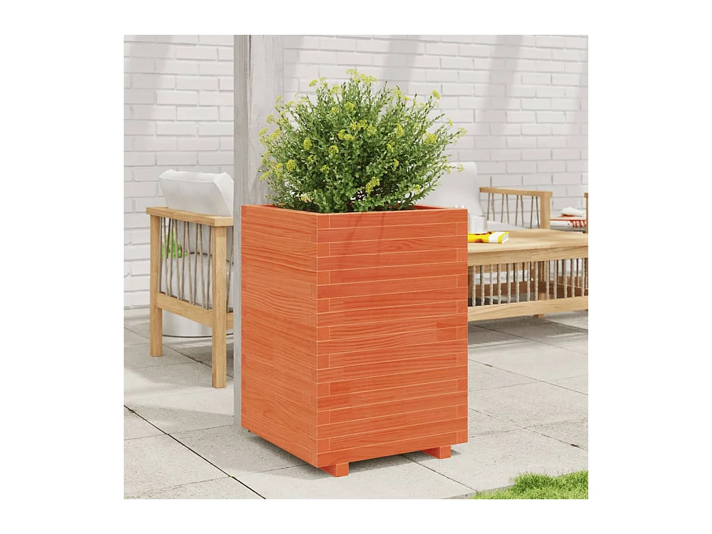 Jardinière cire marron 50x50x72,5 cm bois de pin massif