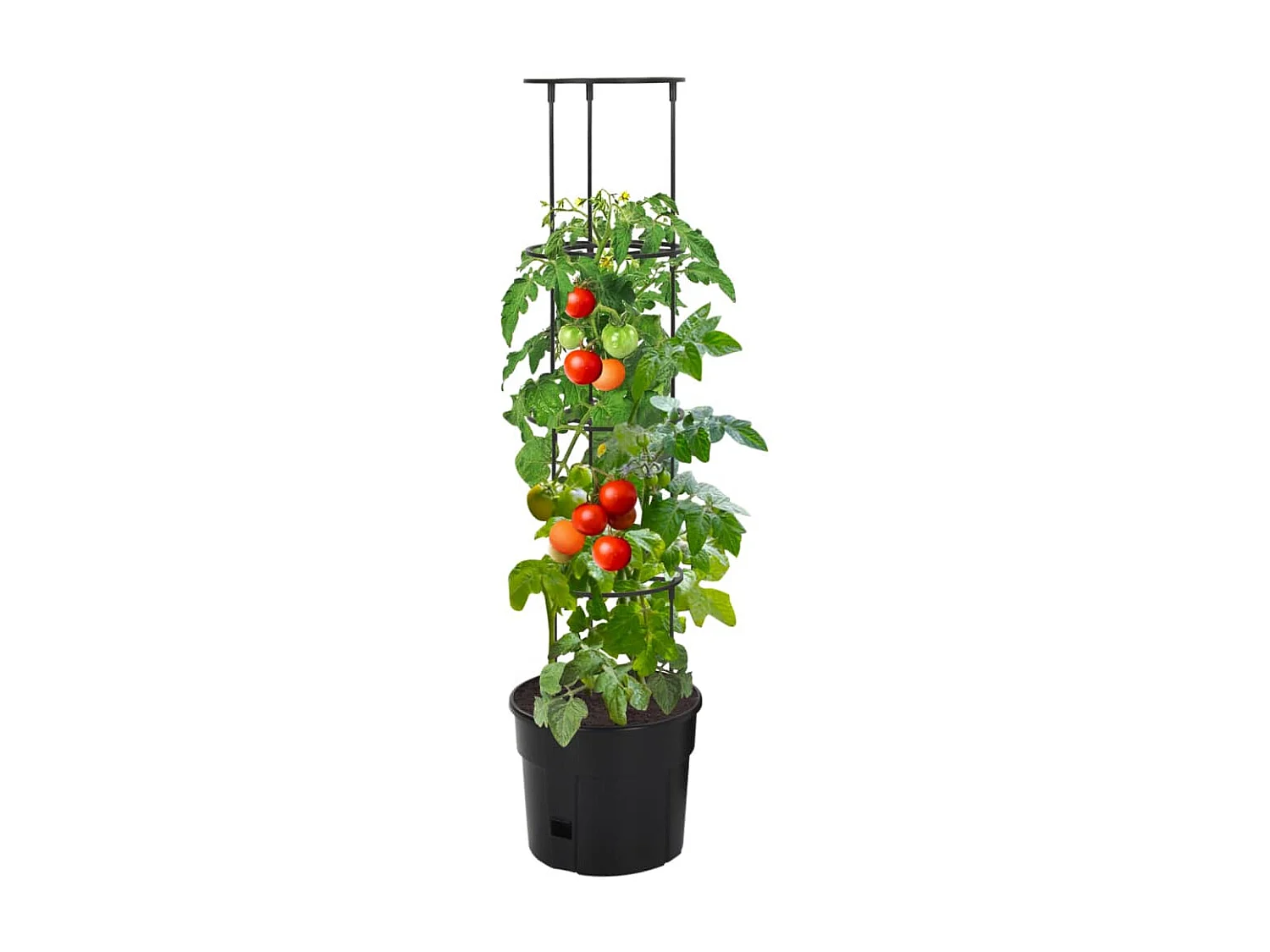 Vaso p/ cultivo de tomate Ø29,5x115 cm polipropileno antracite