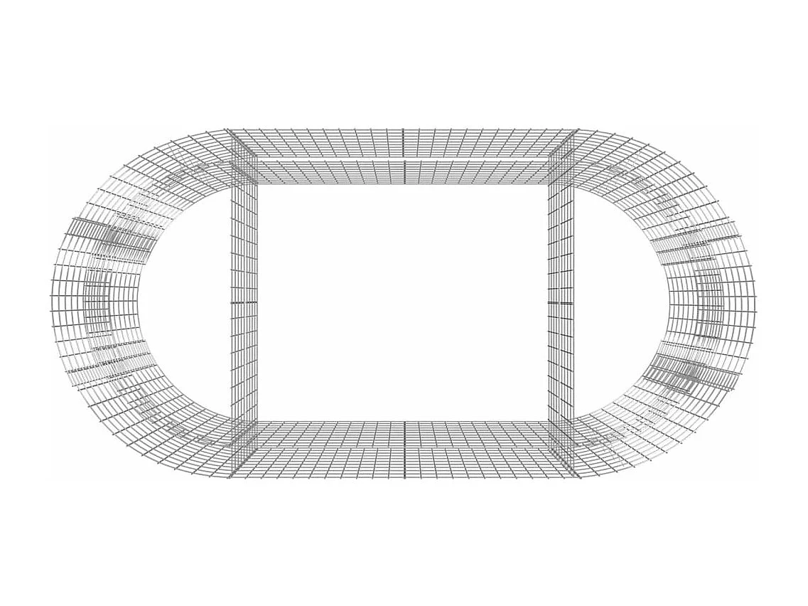 Lit surélevé à gabion Fer galvanisé 200x100x100 cm
