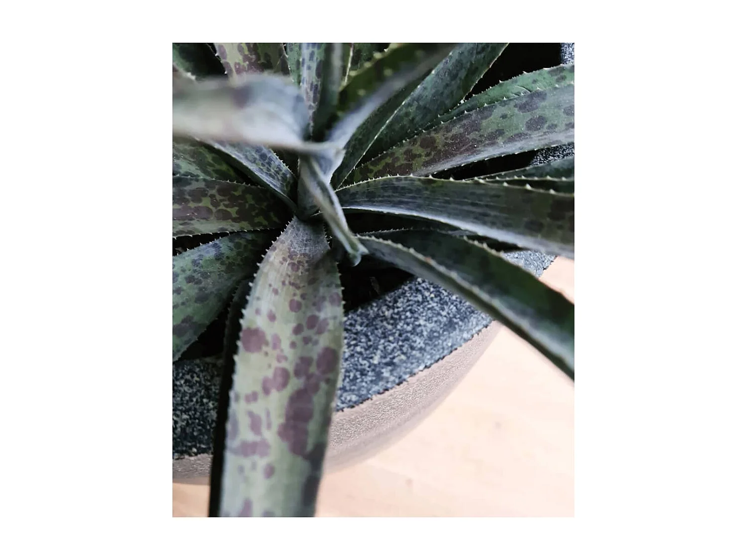 Macetero Waste Smooth gris 43x41 cm