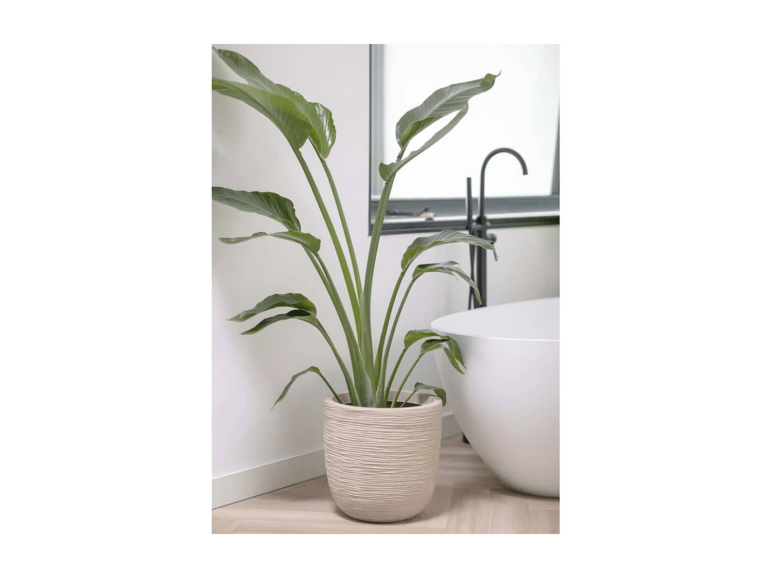 Pot à fleurs Waste Rib 43x41 cm Beige terrazzo