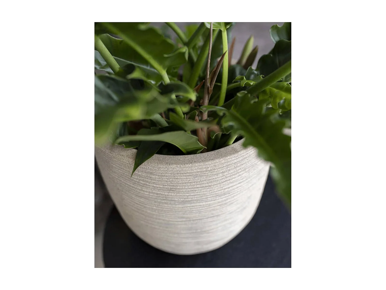 Macetero Waste Rib beige terrazo 35x34 cm