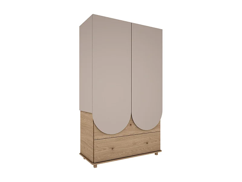 Armoire 2 portes 2 tiroirs Bloom - Cachemire et Bois