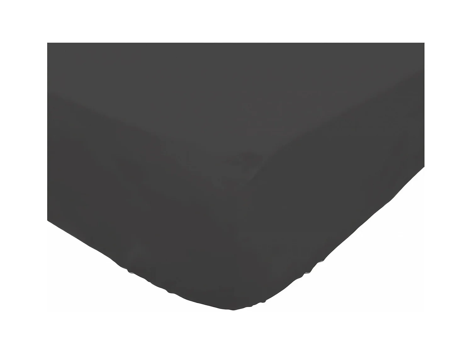 Bajera ajustable de algodón 160x200 cm PERCALE antracita